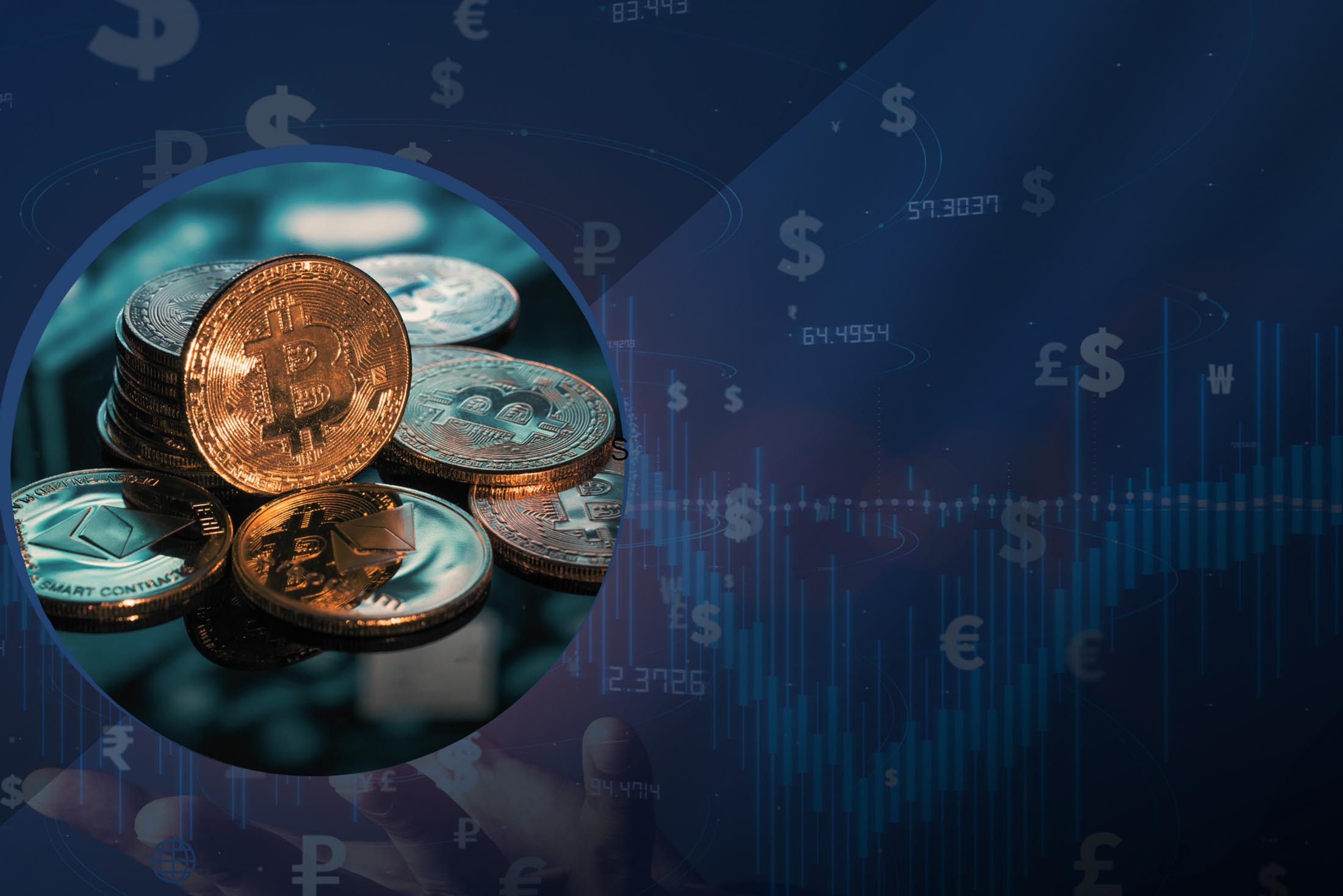 Kocaeli Üniversitesi